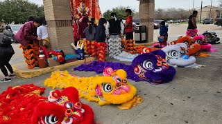 Lion Dance Hibachi Baytown 2024 [upl. by Felecia]