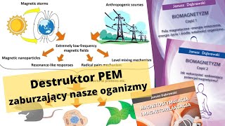 Jak Pola Magnetyczne Wpływają na Zdrowie Szokujące Odkrycia o Naszym Organizmie [upl. by Mirielle869]