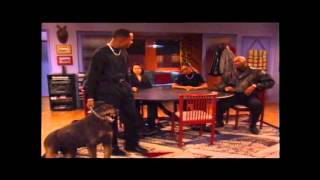 Martin Famous Dog Scene Best Quality [upl. by Atteloj613]