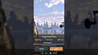 Fishing Planet Catching Trophy Striped Bass [upl. by Alocin873]