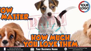 Veterinary Clinic Promotional Video AD  Vet Care Short AD [upl. by Pry873]