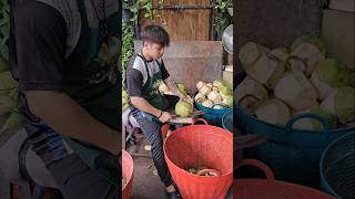 Amazing coconut fruit cutting skills [upl. by Fagin]