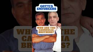 JOHN GOTTIS MOST FEARED ENFORCERS  CARNEGLIA BROTHERS  SHOCKING Facts johngotti mobsters [upl. by Roberson]