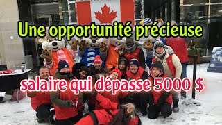 Canada  une opportunité précieuse avec un salaire de 5 000   bénévolat rémunéré [upl. by Lobel]