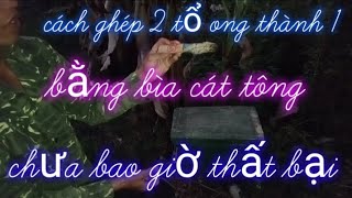 kỹ thuật ghép ong mật ghép 2 tổ ong thành 1 quá đơn giản chỉ cần có bìa cát tông sẽ thành công [upl. by Tzong]