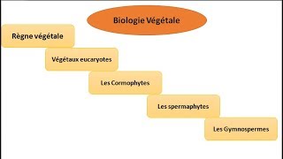 biologie végétale classification des végétaux botanique [upl. by Nrubua35]