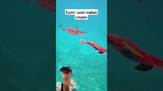 fishing squidding ocean fish mancing  squide [upl. by Adnahc]