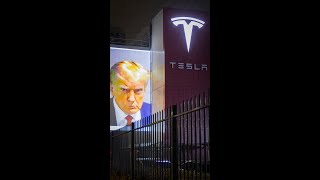 TESLA  TRUMP [upl. by Earahs]