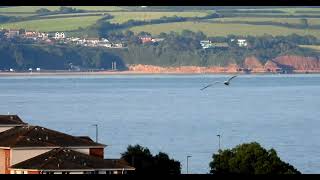 A summers evening Dawlish to Exmouth beach view A one minute quickie video [upl. by Placeeda]