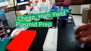 Super cheap plasmid miniprep without columns [upl. by Aniluj]