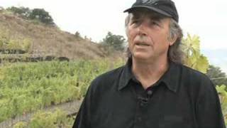 Entrevista con Joan Manuel Serrat en sus viñedos [upl. by Aiek]