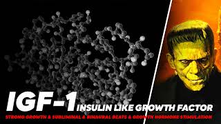 INSULINLIKE GROWTH FACTORIGF1 🔴 GROWTH HORMONE STIMULATION 🔴 BINAURAL BEATSampSUBLIMINAL [upl. by Naloc]