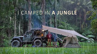 Relaxing in Tropical HEAVY RAIN  Solo Camping Shelter in a Jungle long ASMR [upl. by Padraig642]