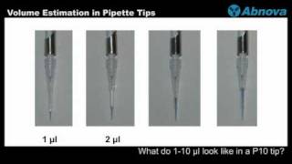 Volume Estimation in Pipette Tips [upl. by Taima]