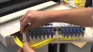 Tech Tip Installation Video How to Install a 12 Fiber Rack Mount Patch Panel  FIBERONE® [upl. by Nagoh]