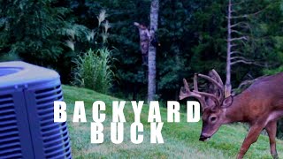 SUBURBAN DEER HUNTING  BACKYARD BUCK [upl. by Riesman]