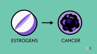 Estrogens and uterine cancer [upl. by Dupuy951]