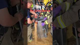 This is the GRAIN RESCUE education shorts findsomething fyp viralvideo xyzbca [upl. by Vaientina120]