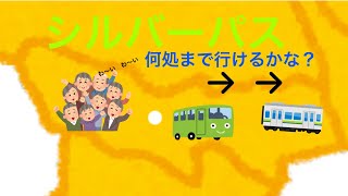 シルバーパスで何処まで行けるかな？ 交通費ゼロ。《14》 訂正都営新宿線、本八幡まで行けます。コメント頂きました。 [upl. by Anoiuq593]