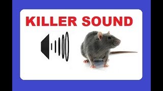 Sound that drives away RATS from food sources and nesting  DEAFENING Sound [upl. by Notnirt504]