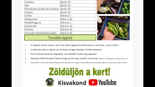 Meghökkentő stílusra váltott Kiszel Tünde  20150930  tv2hufem3cafe [upl. by Eelyek668]