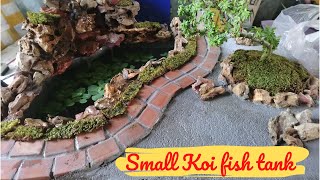 DIY Koi fish tank small [upl. by Naira]