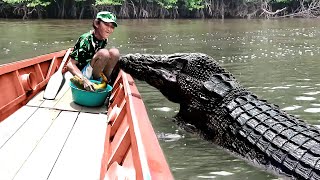 Most Emotional Animal Reunions With Owners After Years [upl. by Gretta]