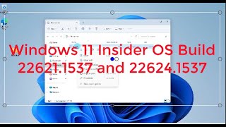 Windows 11 Build 226211537 and 226241537 [upl. by Joan]