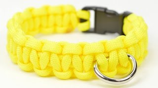 How to Make a Simple Paracord Dog Collar  BoredParacordcom [upl. by Riorsson]