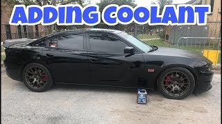 Dodge Charger Adding More Coolant [upl. by Kostman]