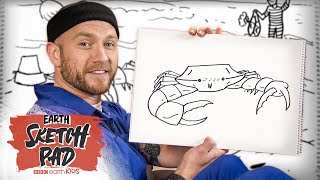 How To Draw A Crab In Just 3 Minutes  Earth Sketch Pad  BBC Earth Kids [upl. by Anura]