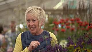 RHS Hampton Court 2018 E05 [upl. by Blaire]