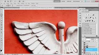 Learn how to use the quick selection tool in photoshop cs5 [upl. by Eilegna]