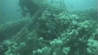 SS Exmouth Shipwreck Video [upl. by Iem]