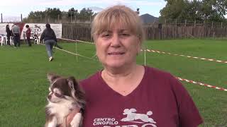 Trevignano Romano Trofeo Ludo Dog aperto a tutte le razze canine  Canale 10 [upl. by Loveridge]