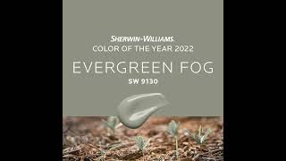 Color del año 2022  SW 9130 Evergreen Fog [upl. by Krischer]