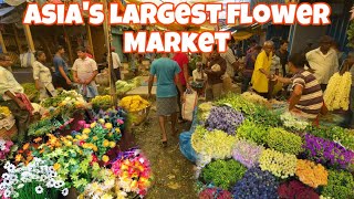 Flower Market Kolkata  Mallick Ghat flower Market Howrah  Asias largest flower Market [upl. by Angelico]