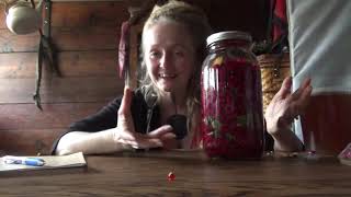 How to make a Hawthorn berry tincture [upl. by Geof163]