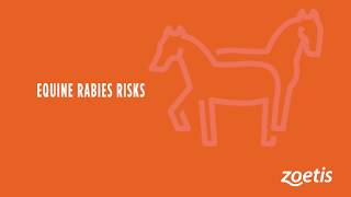 Equine Rabies Risks [upl. by Timofei518]