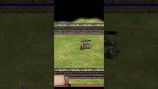 Elite Cataphract Vs Elite Throwing Axeman  AOE2 Definitive Edition [upl. by Leiria]