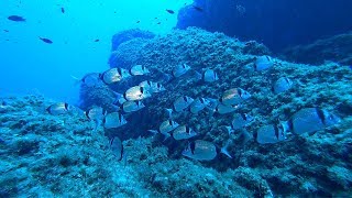 Diving Isola dei cavoli  Villasimius Sardegna agosto 2017 [upl. by Kier454]