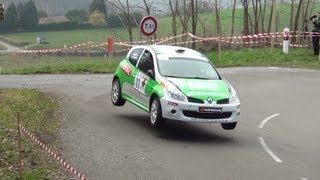 Rallye des Monts du Lyonnais 2013 HD [upl. by Ayyidas]