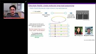 Sequencing SingleStrand Mismatch and Damage Patterns by LongRead Sequencing [upl. by Stringer47]