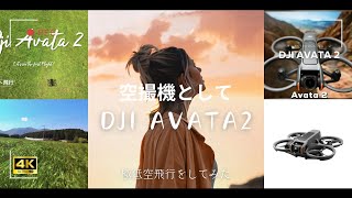 【空撮】 DJI Avata2の空撮機としての作例（極低空飛行） [upl. by Gorski]