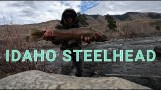 FLY FISHING FOR IDAHO FALL STEELHEAD [upl. by Arres398]