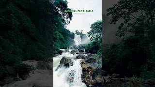 Valparai  Hidden Gem 💎 Iraichal parai waterfall 💚 Summer vs moosoon 💚 travel waterfall [upl. by Swithin51]