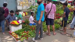 Galiff Street Market  Varieties of Flowers amp Fruit Plant [upl. by Mars]