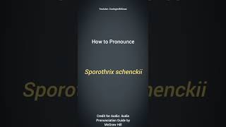 Sporothrix schenckii Pronunciation  Microbiology Pronunciation Guide  Biological Names [upl. by Thurmann]