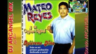 MATEO REYES MIX Puras Chilenas Perrona Nuevo Mix 2017 [upl. by Pickford187]