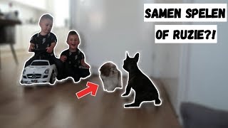 EEN PUPPY ERBIJ IN HUIS  VLOG 98  FAMILIEVLOGGERS [upl. by Lrigybab823]